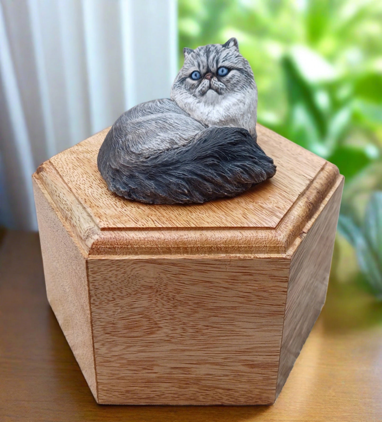 Persian Cat : Solid Wood Pillbox Style Cremation Urn for Pet Ashes