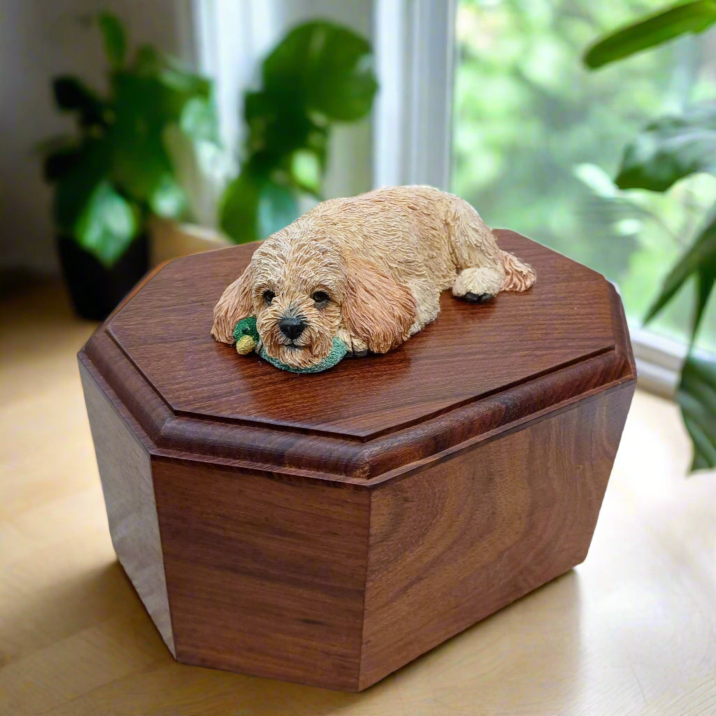 A wooden cremation urn with a hand painted sculpture of a cockapoo dog lying on top.