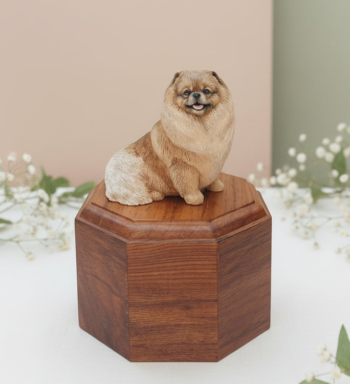 Small dog sitting on a wooden box next to a window with a blurred view of a person.