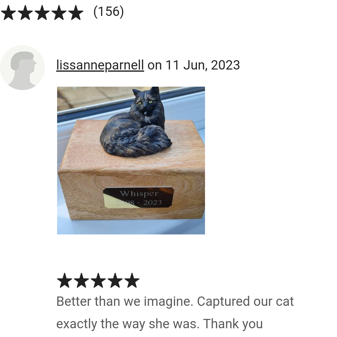 5 star review for cavacast