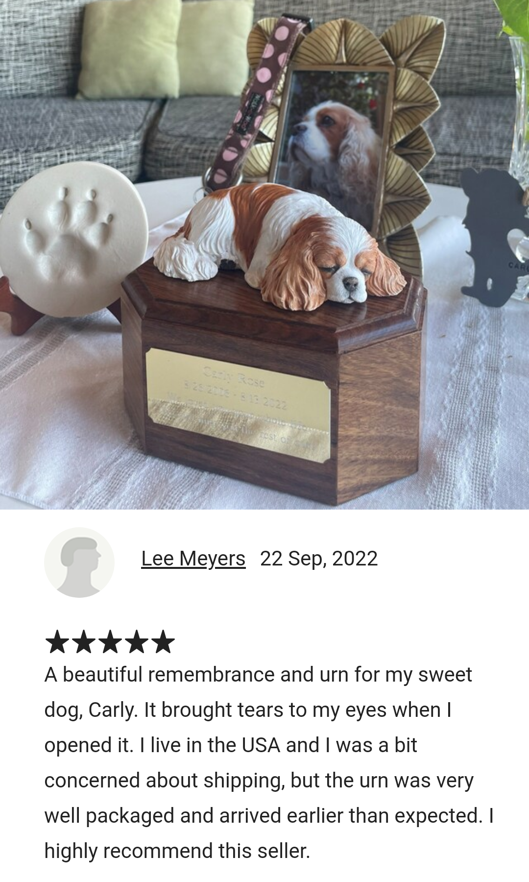 Cavalier King Charles Spaniel Dark Rosewood Cremation Urn