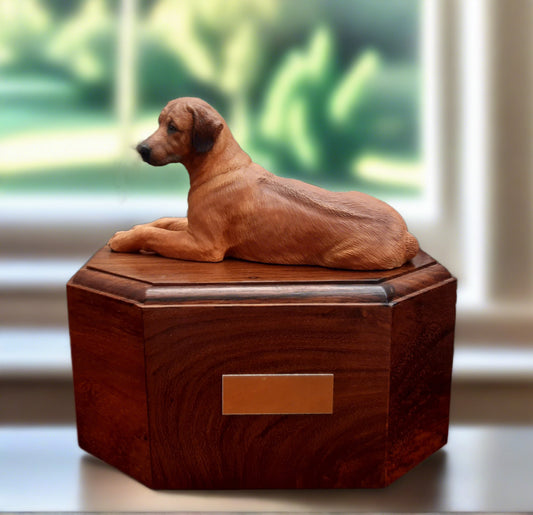 Rhodesian Ridgeback urn