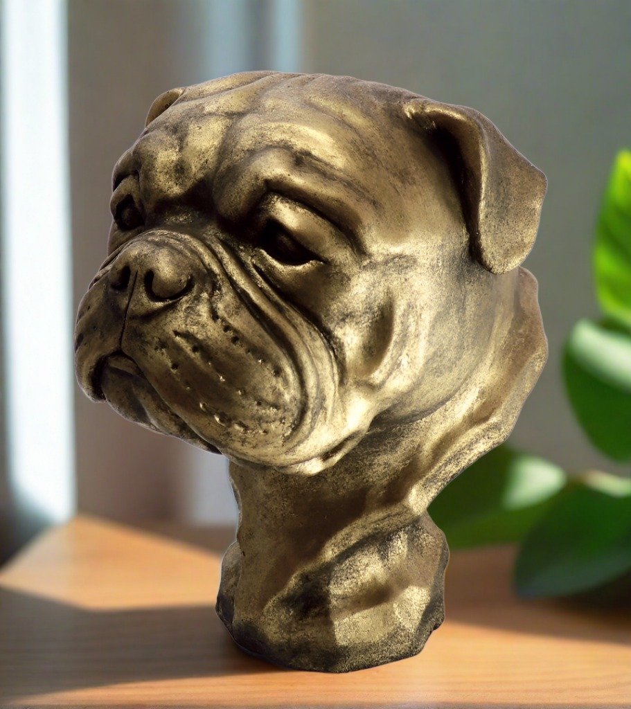American bulldog johnson