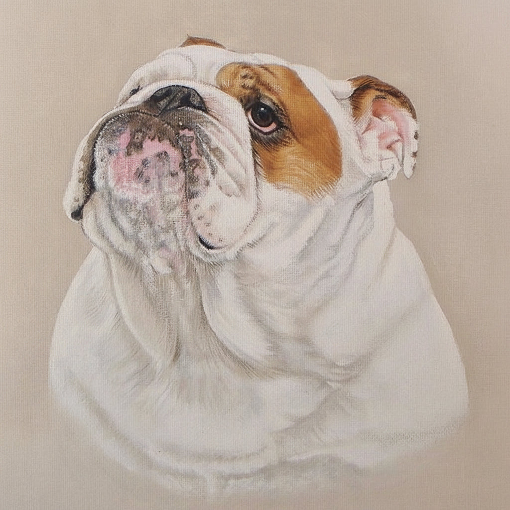 Painting of english bulldog