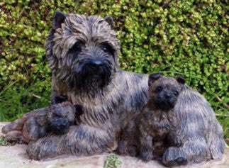 Cairn Terrier With Puppies Figurine