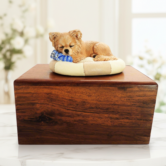 cremation urn for long haired chihuahua