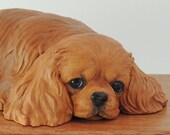 Ruby cavalier king charles spaniel art