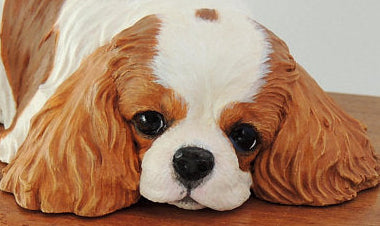 Cavalier King Charles Spaniel Solid Wood Cremation Urn